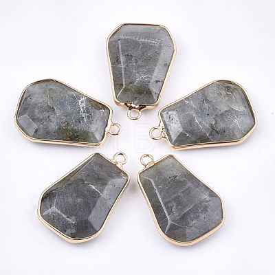 Natural Labradorite Pendants G-T112-15B-1