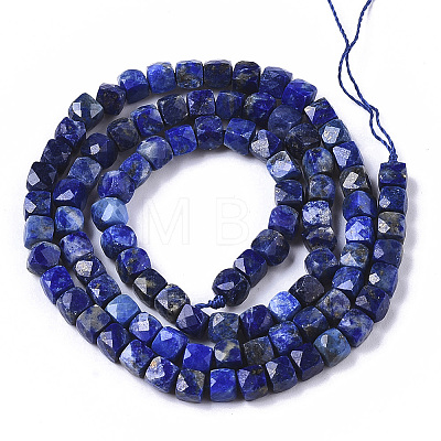 Natural Lapis Lazuli Beads Strands LS-G-R460-038-1