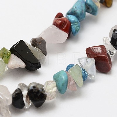 Natural Gemstone Beads Strands G-F328-26-1