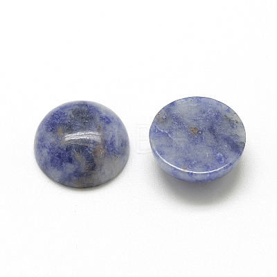 Natural Blue Spot Jasper Cabochons G-R416-10mm-45-1