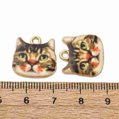 Alloy Enamel Pendants ENAM-V002-04G-04-1
