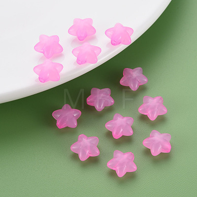 Transparent Acrylic Beads MACR-S373-26E-10-1