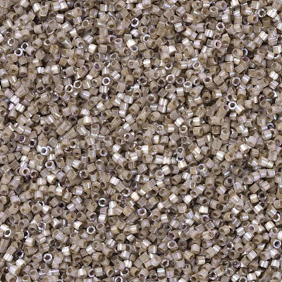 MIYUKI Delica Beads X-SEED-J020-DB0680-1