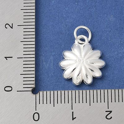 S925 Sterling Silver Charm STER-H115-11A-S-1