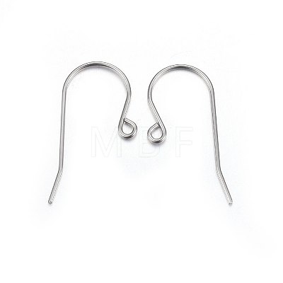 316L Stainless Steel Earring Hooks LS-X-STAS-P210-20P-1