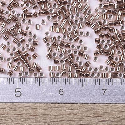 MIYUKI Delica Beads Small SEED-JP0008-DBS0037-1
