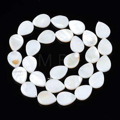 Natural Freshwater Shell Beads Strands SHEL-S278-068-1