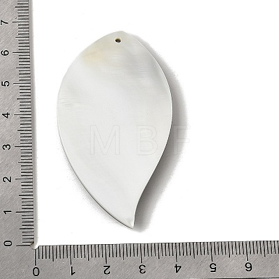Natural Freshwater Shell & Paua Shell & White Shell Big Pendants SHEL-C009-03-1