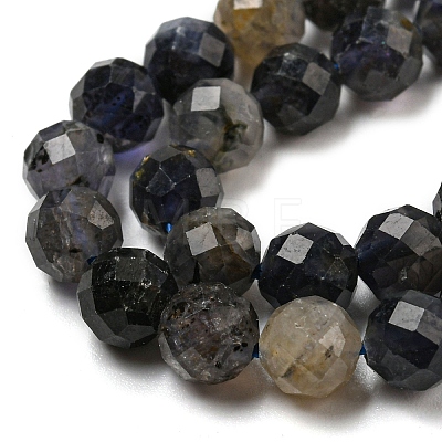 Natural Iolite Beads Strands G-A097-A14-09-1