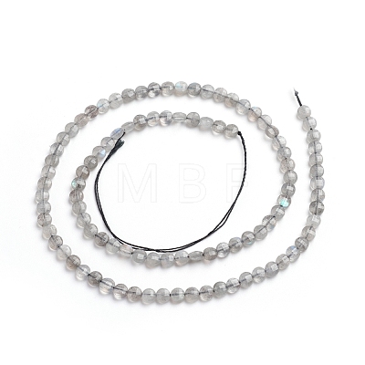 Natural Labradorite Beads Strands G-E560-C08-4mm-1