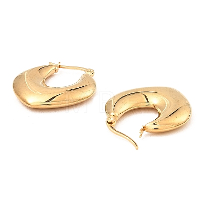 304 Stainless Steel Thick Hoop Earrings for Women EJEW-E291-16G-1