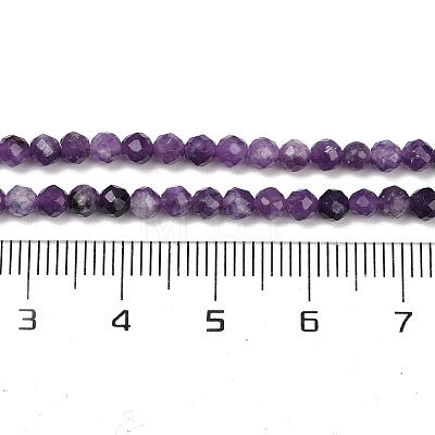 Natural Lepidolite/Purple Mica Stone Beads Strands G-C009-A26-1