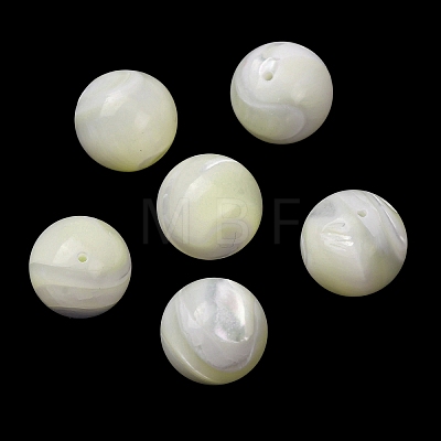 Natural Trochid Shell/Trochus Shell Beads SH-CBA2978-22-1