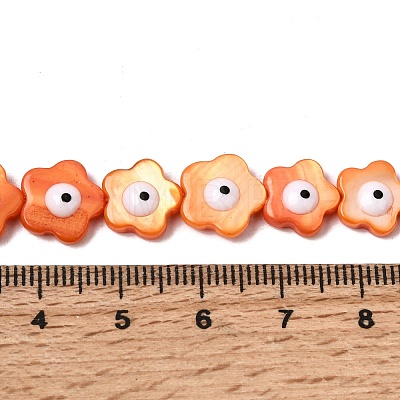 Dyed Natural Freshwater Shell Beads Strands SHEL-A006-03D-1