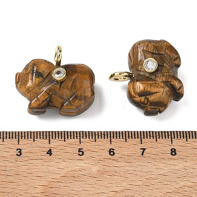 Natural Tiger Eye Carved Pendants GG-CBA105B-03I-G-1
