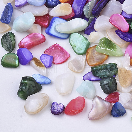Natural Freshwater Shell Beads X-SHEL-N003-03-1
