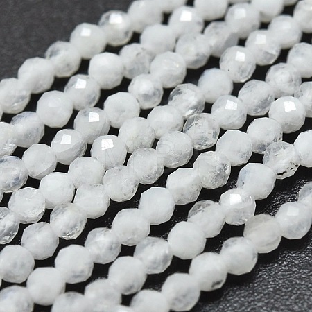 Natural Rainbow Moonstone Beads Strands X-G-O186-D02-1