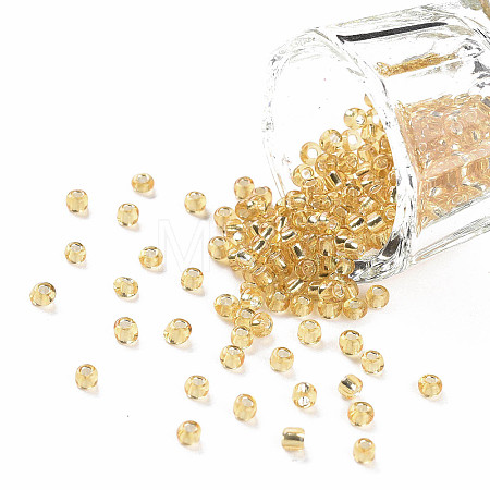 8/0 Glass Seed Beads X2-SEED-A005-3mm-22-1