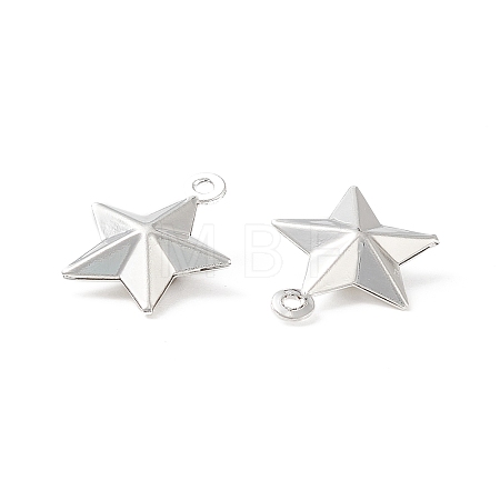 304 Stainless Steel Pendants STAS-I138-12S-1
