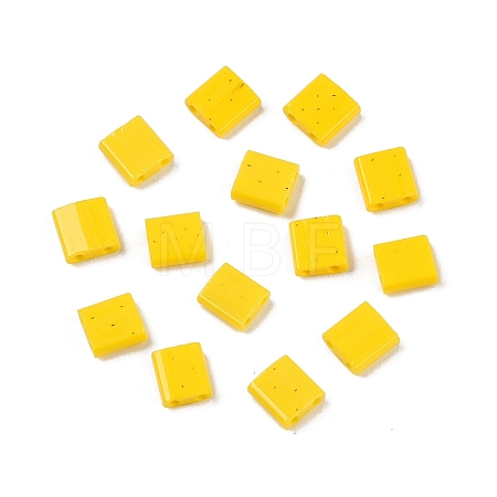 2-Hole Baking Paint Glass Seed Beads SEED-S023-17C-06-1