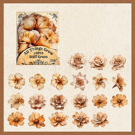 Waterproof PET Stickers Set DIY-Z030-01A-1