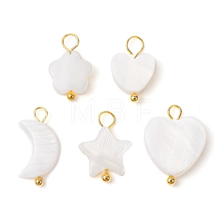 Natural Freshwater Shell Pendants PALLOY-JF02416-02-1