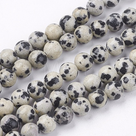 Natural Dalmatian Jasper Stone Bead Strands G-R193-14-6mm-1