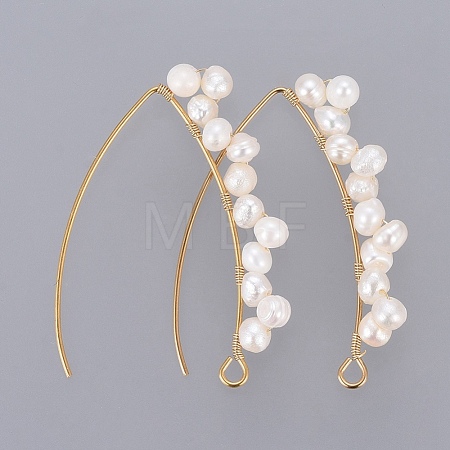 PVD Vacuum Plating 304 Stainless Steel Earring Hooks X-EJEW-JE03759-1