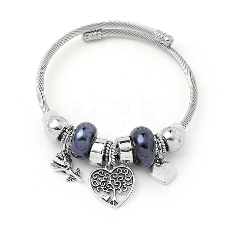 European Style Stainless Steel & Alloy Charm Bangles for Women PW-WG243C0-05-1
