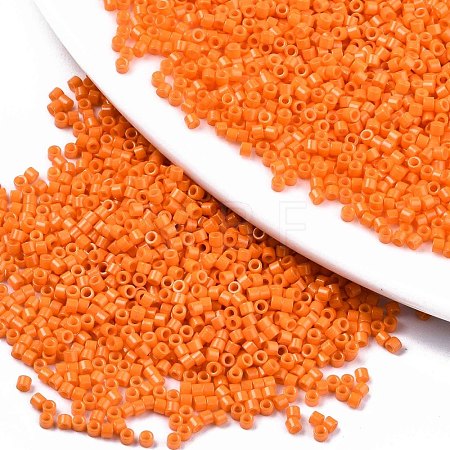 FGB 11/0 Grade A Glass Seed Beads SEED-S030-1019-1