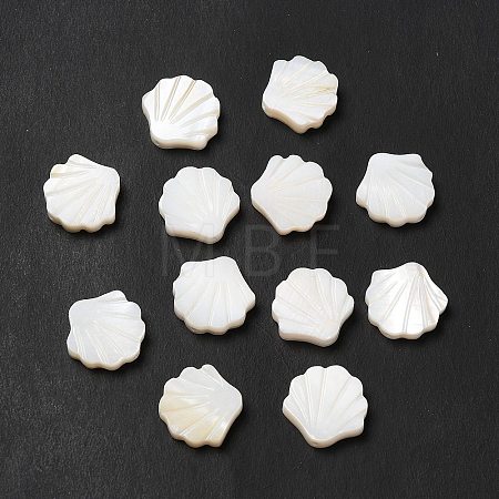 Natural Freshwater Shell Beads BSHE-E026-06-1