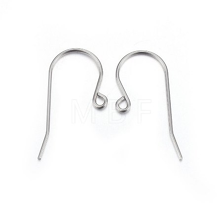 316L Stainless Steel Earring Hooks LS-X-STAS-P210-20P-1