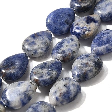 Natural Blue Spot Jasper Beads Strands G-P561-B06-01-1