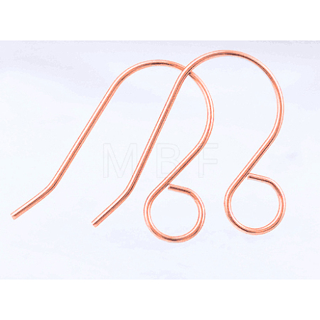 100Pcs 316 Stainless Steel French Earring Hooks JX138C-1