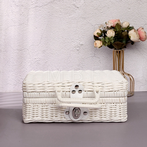 Plastic Imitation Rattan Storage Box PW-WG73543-10-1