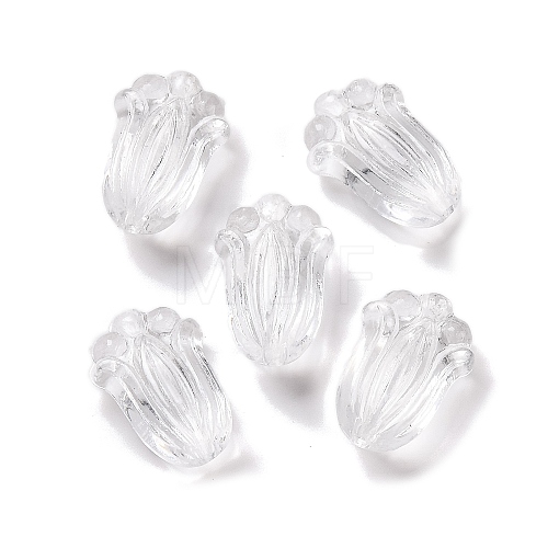 Transparent Acrylic Beads OACR-M011-07-1