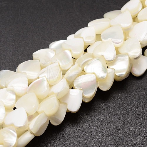 Natural Trochid Shell/Trochus Shell Beads Strands SSHEL-K012-04A-1