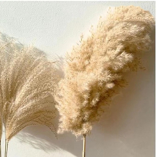 Mini Dried Grass Bouquet for Wedding Party Home Table Decoration HULI-PW0002-114C-1