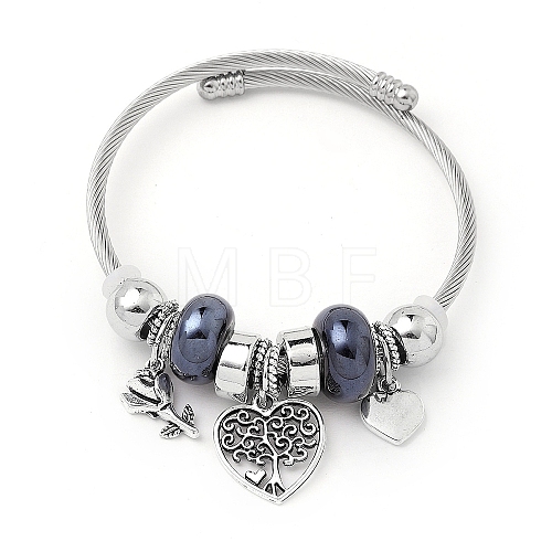 European Style Stainless Steel & Alloy Charm Bangles for Women PW-WG243C0-05-1