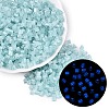FGB Grade A Frosted Glass Seed Beads SEED-Q040-04A-02-1