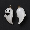 Halloween Opaque Resin Pendants RESI-B010-04D-3