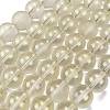 Frosted Transparent Glass Bead Strands GLAA-P065-10mm-01-2