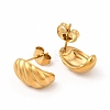 316 Stainless Steel Shell Shape Stud Earrings for Women EJEW-C004-13G-2