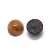 Natural Tiger Eye Cabochons G-O175-23-25-2
