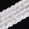 Natural Agate Beads Strands G-T144-50A-01-4
