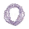 Electroplate Glass Beads Strands EGLA-B011-01A-PL04-2
