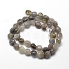 Natural Labradorite Nuggets Beads Strands G-J336-08-2