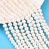 Natural Cultured Freshwater Pearl Beads Strands PEAR-D003-01C-03-1