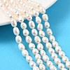 Natural Cultured Freshwater Pearl Beads Strands PEAR-I007-01B-05B-1