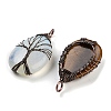 Mixed Gemstone Copper Wire Wrapped Tree Pendants FIND-A043-06-2